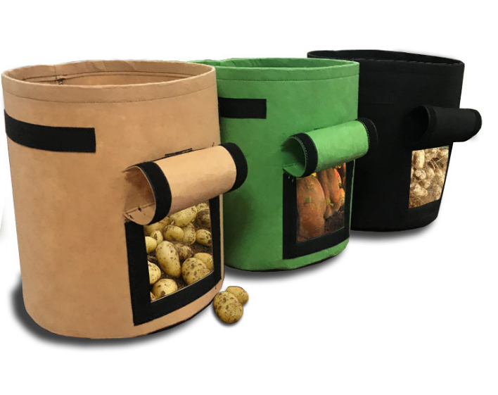 Garden & Plant Care at MyEveryday