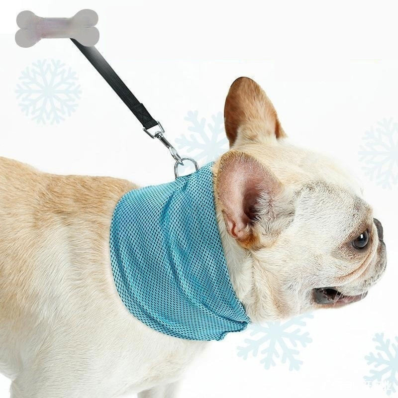 Pet Apparel at MyEveryday