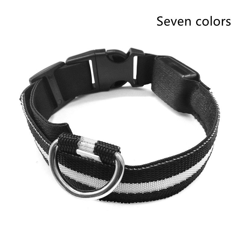 LED Light-Up Dog Collar