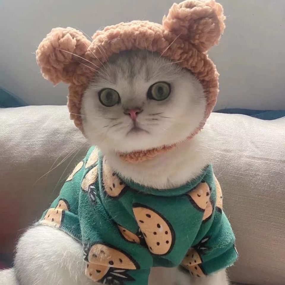 Bear Ear Pet Hood