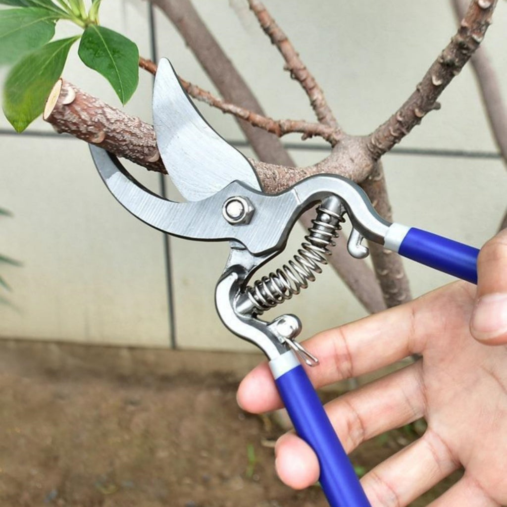 Garden Pruning Shears