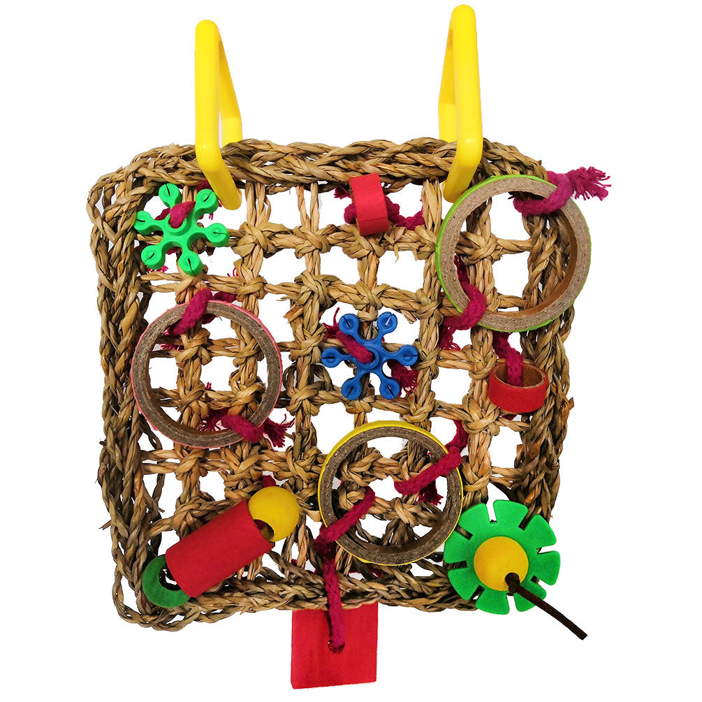 Colorful Parrot Chew Blocks
