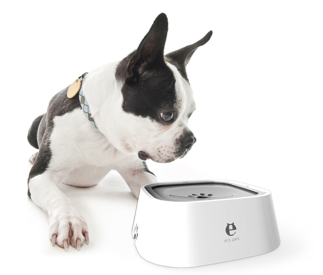 Splash-Proof Floating Dog Bowl