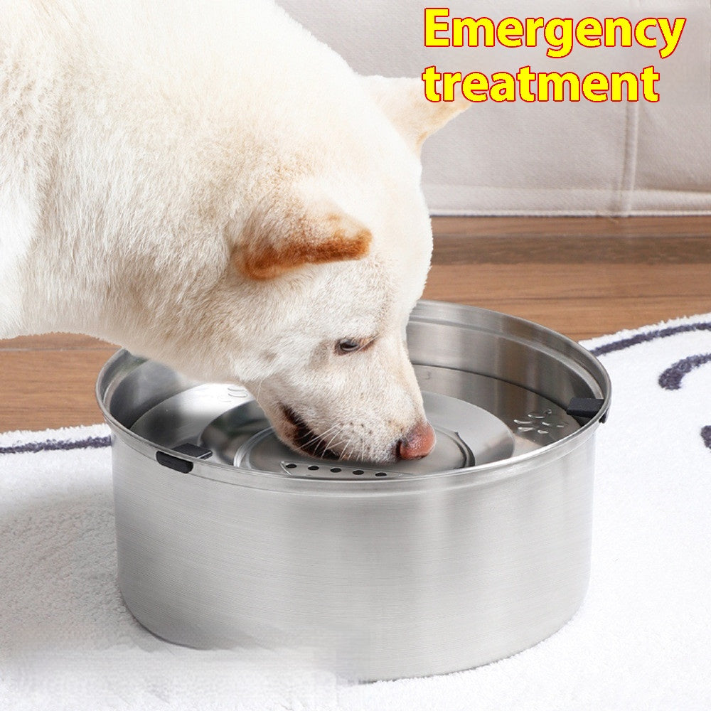 Large Stainless Pet Water Bowl