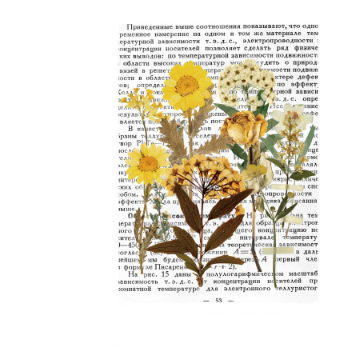 Pressed-Plant Journal Stickers