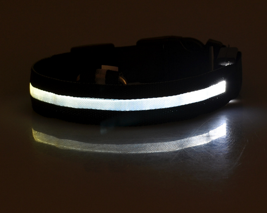 LED Light-Up Dog Collar