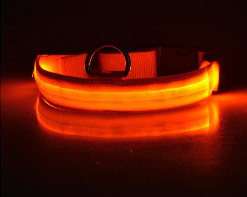 LED Light-Up Dog Collar