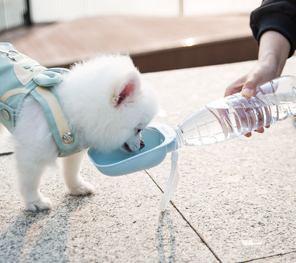 Portable Pet Water Bottle