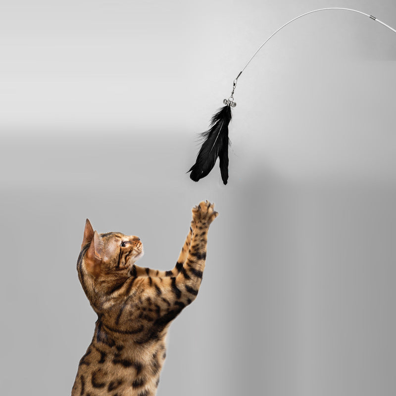 Telescopic Feather Cat Rod