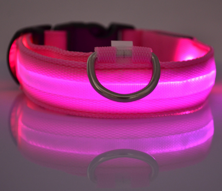 LED Light-Up Dog Collar
