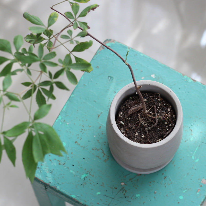Round Concrete Planter