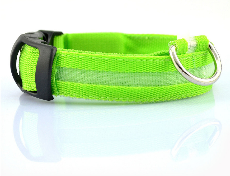 LED Light-Up Dog Collar