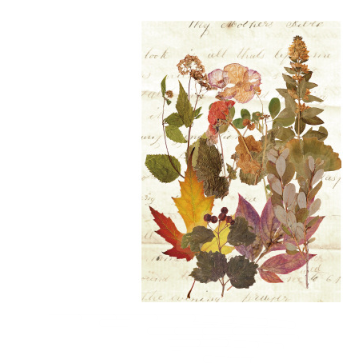 Pressed-Plant Journal Stickers