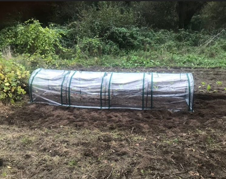 Portable Tunnel Greenhouse