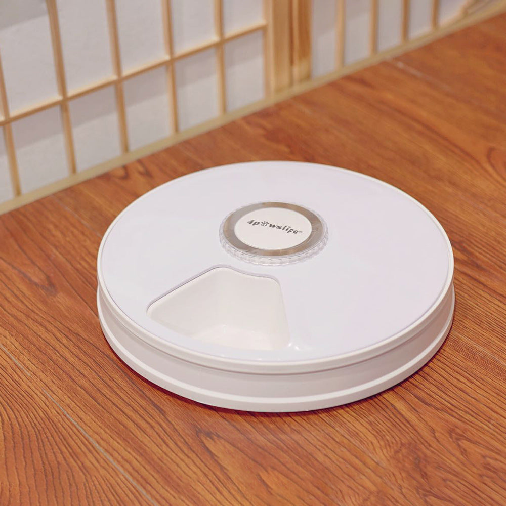 6-Meal Automatic Pet Feeder