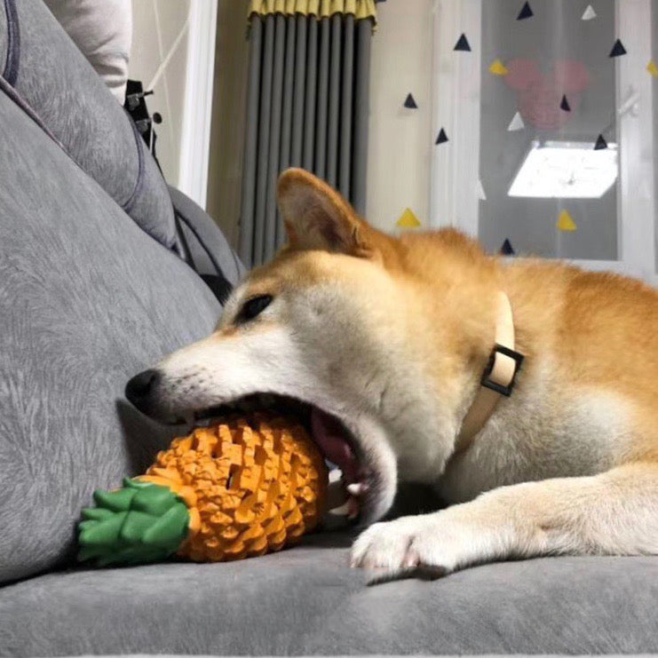 Fruit Rubber Chew Toy