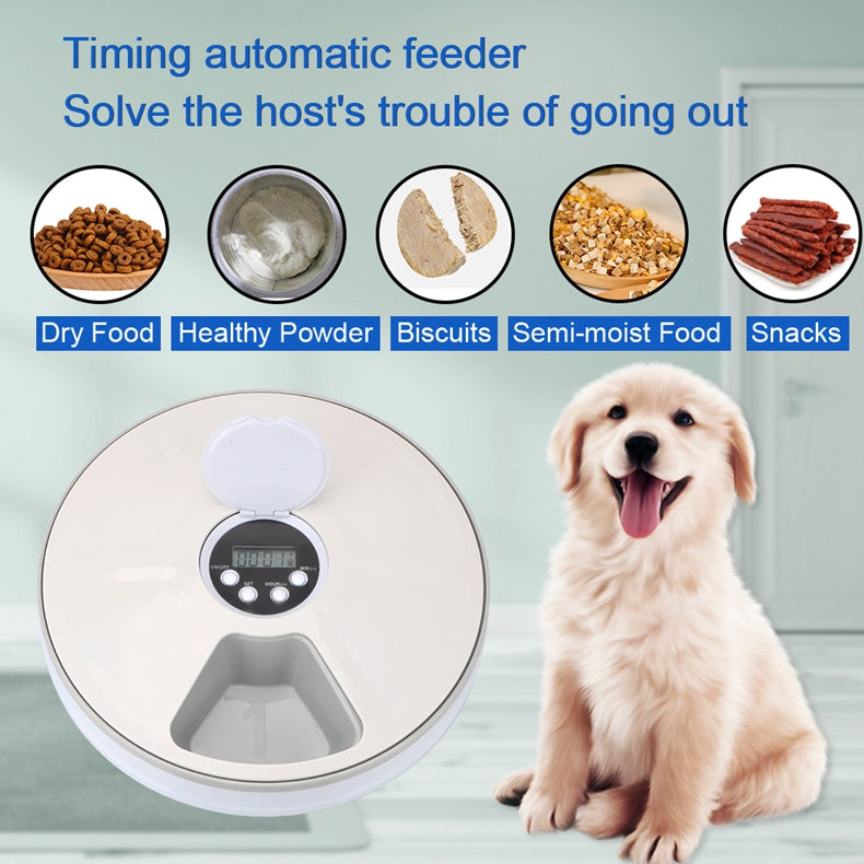 6-Meal Automatic Pet Feeder