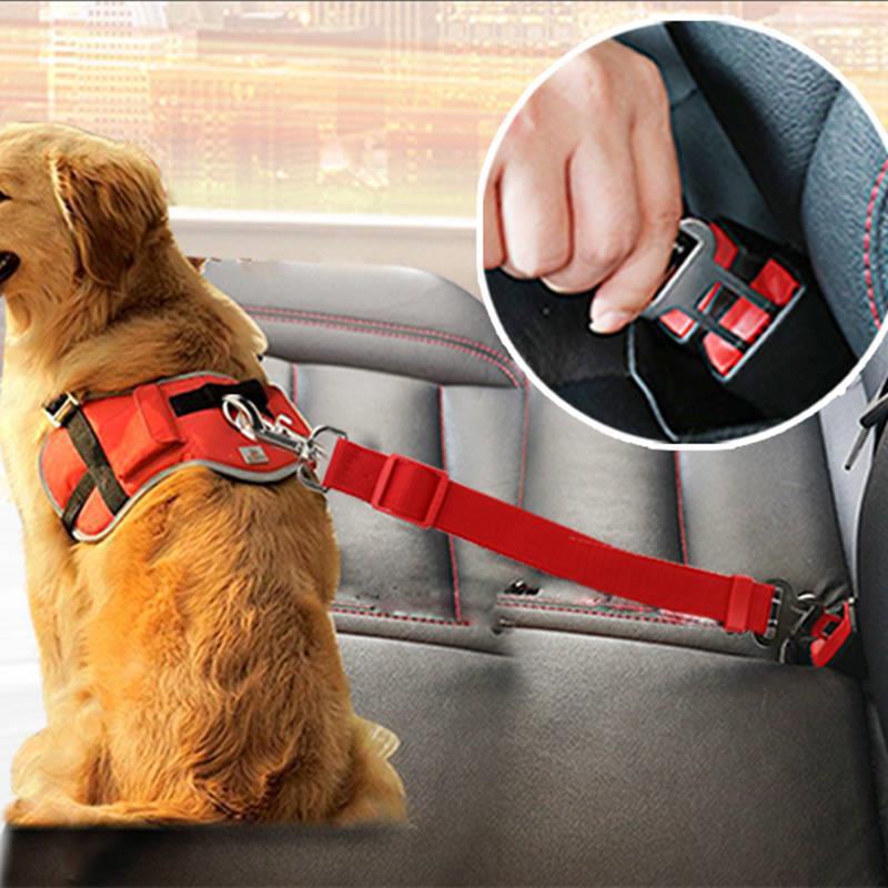 Retractable Dog Leash