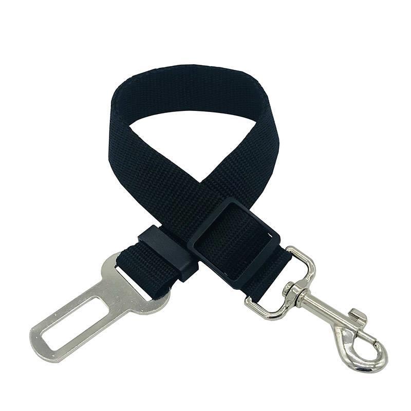 Retractable Dog Leash