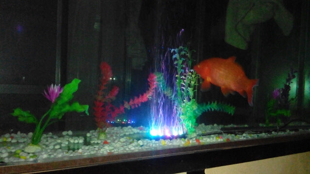 Color-Changing Aquarium Bubble Light