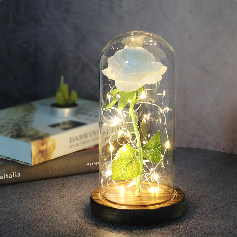 Eternal Rose in Glass Dome with LED Lights