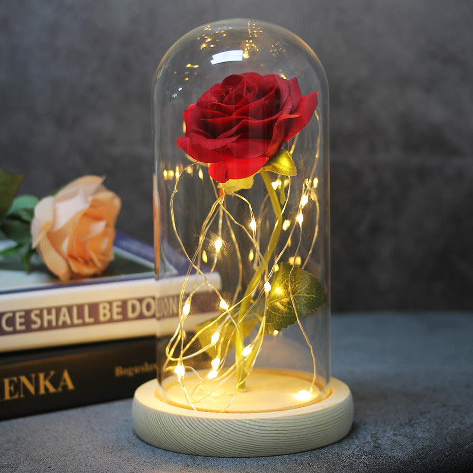 Eternal Rose in Glass Dome with LED Lights