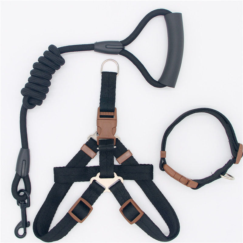 Nylon Dog Leash