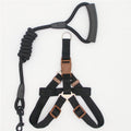 Nylon Dog Leash