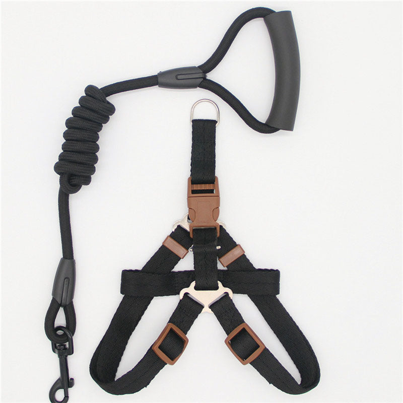 Nylon Dog Leash