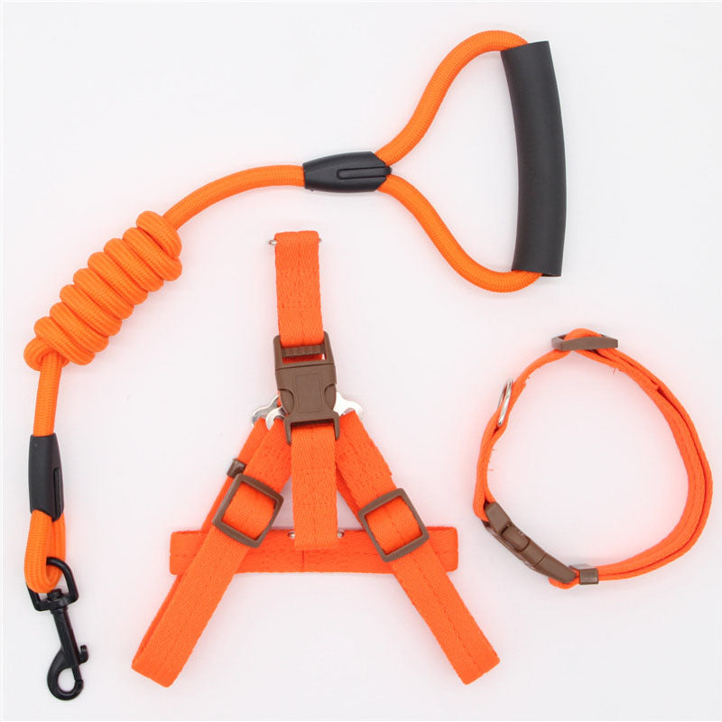 Nylon Dog Leash