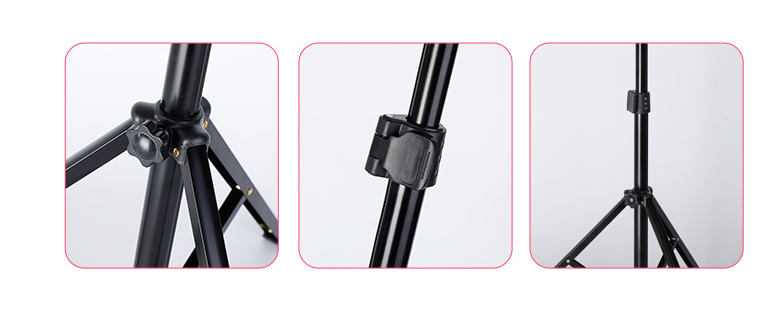 10-Inch Ring Light