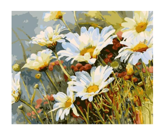 Daisy Paint-by-Numbers Kit