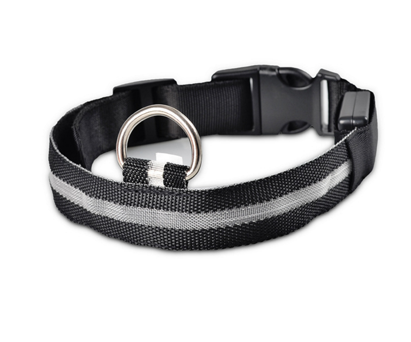 LED Light-Up Dog Collar