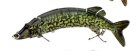 Multi-Jointed Swimbait Lure
