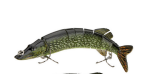 Multi-Jointed Swimbait Lure