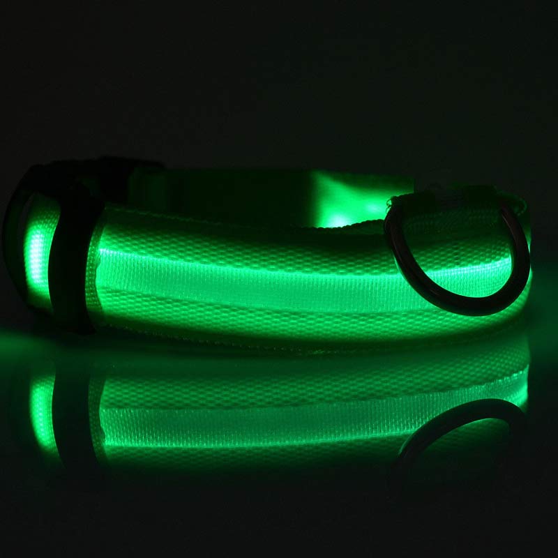 LED Light-Up Dog Collar