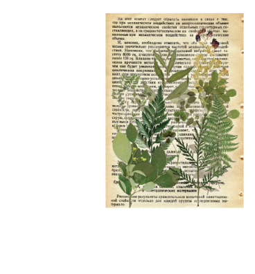 Pressed-Plant Journal Stickers
