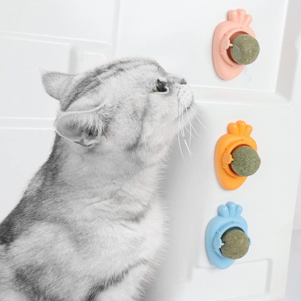Carrot Catnip Wall Treat