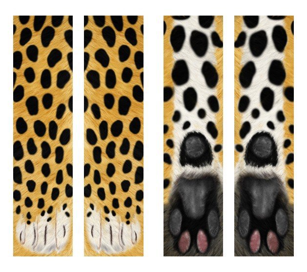 3D Cat Paw Socks