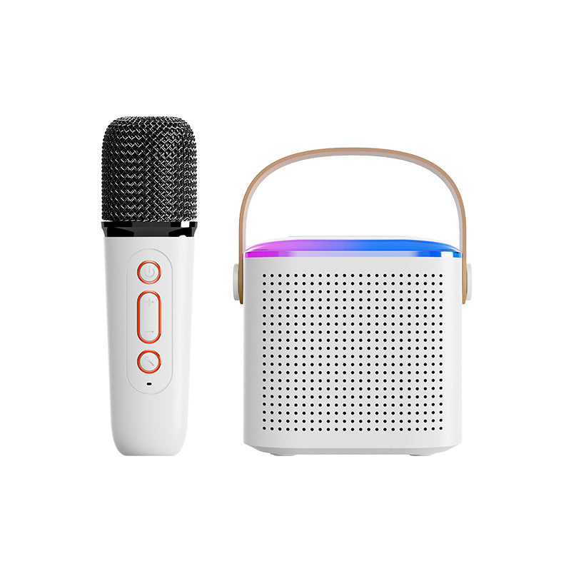Karaoke Bluetooth Speaker with 2 Wireless Mics
