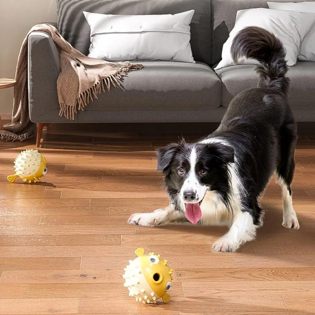 Fish Squeaky Chew Toy