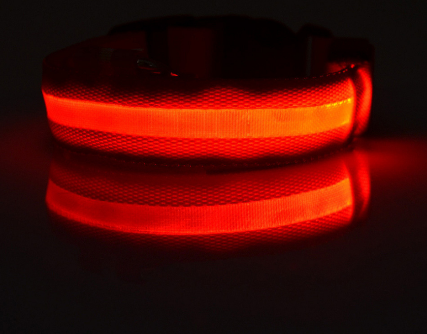 LED Light-Up Dog Collar