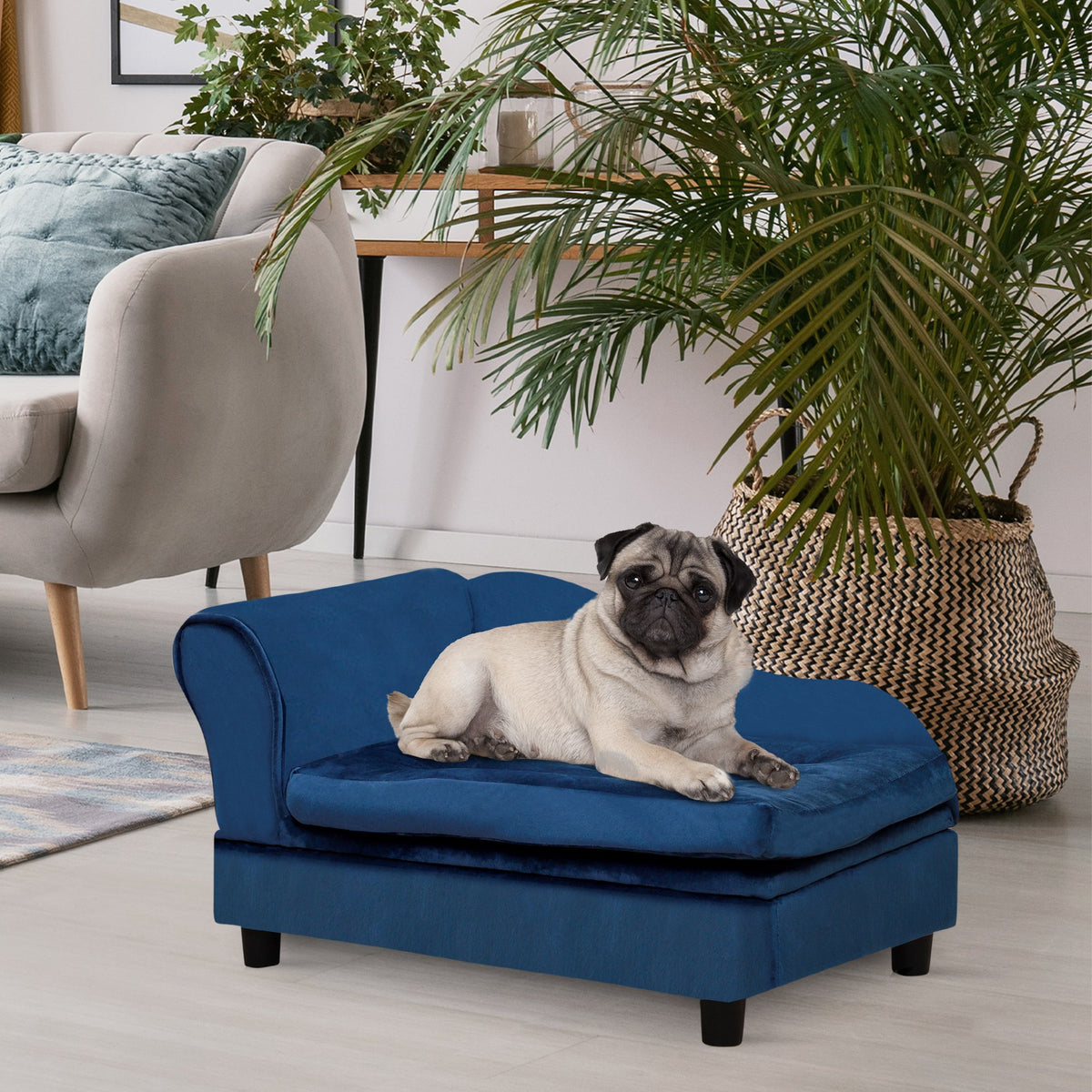 Small Dog Sofa Bed with Hidden Storage