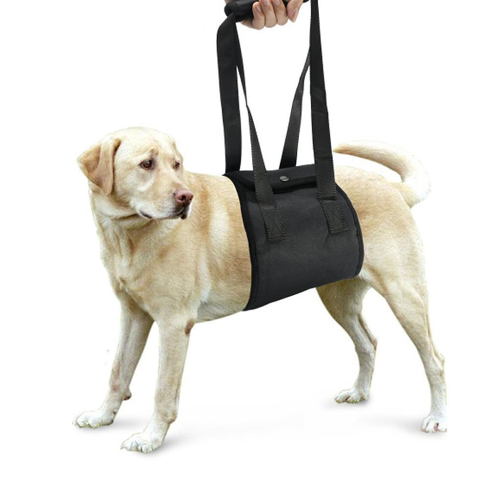 Dog Rear Support Sling