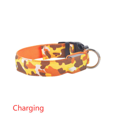 LED Light-Up Dog Collar