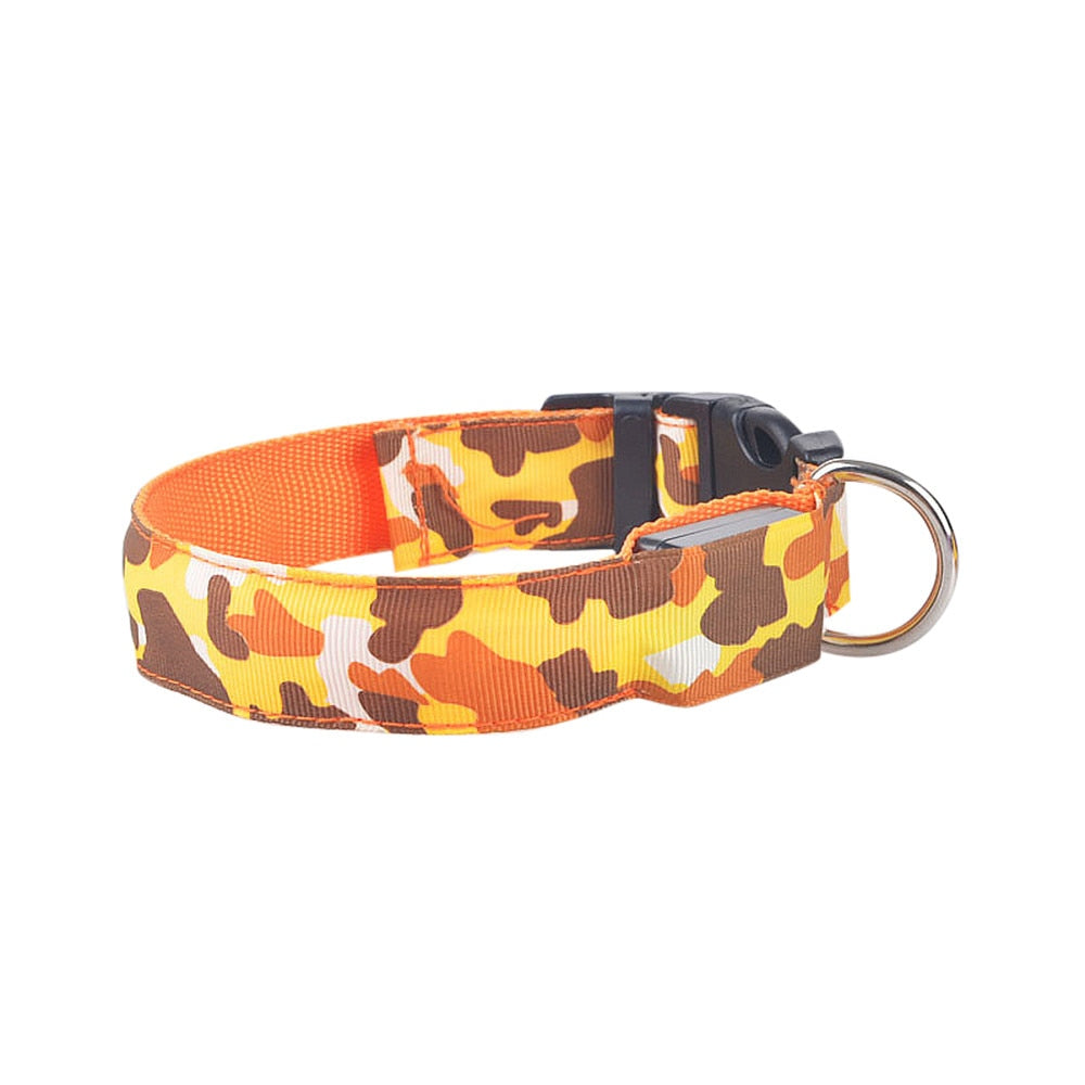 LED Light-Up Dog Collar
