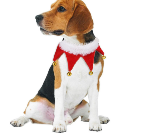Holiday Pet Costume Cape