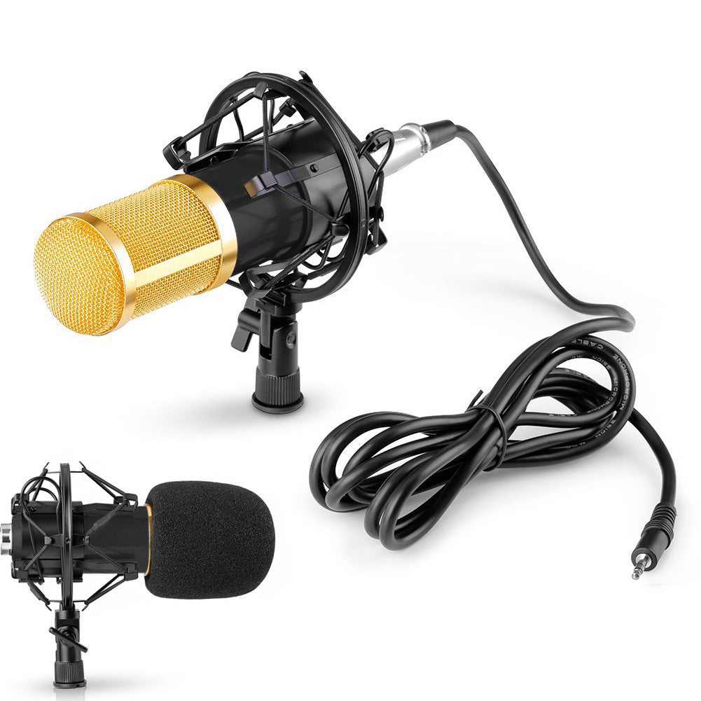 Condenser Microphone Set with Shock Mount