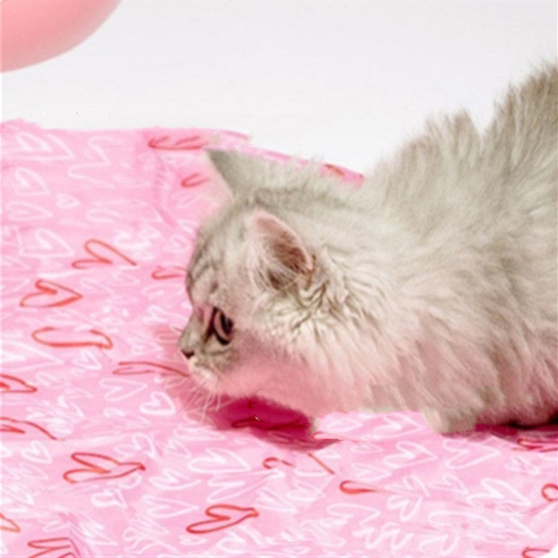 Hide-and-Seek Motion Ball Cat Toy