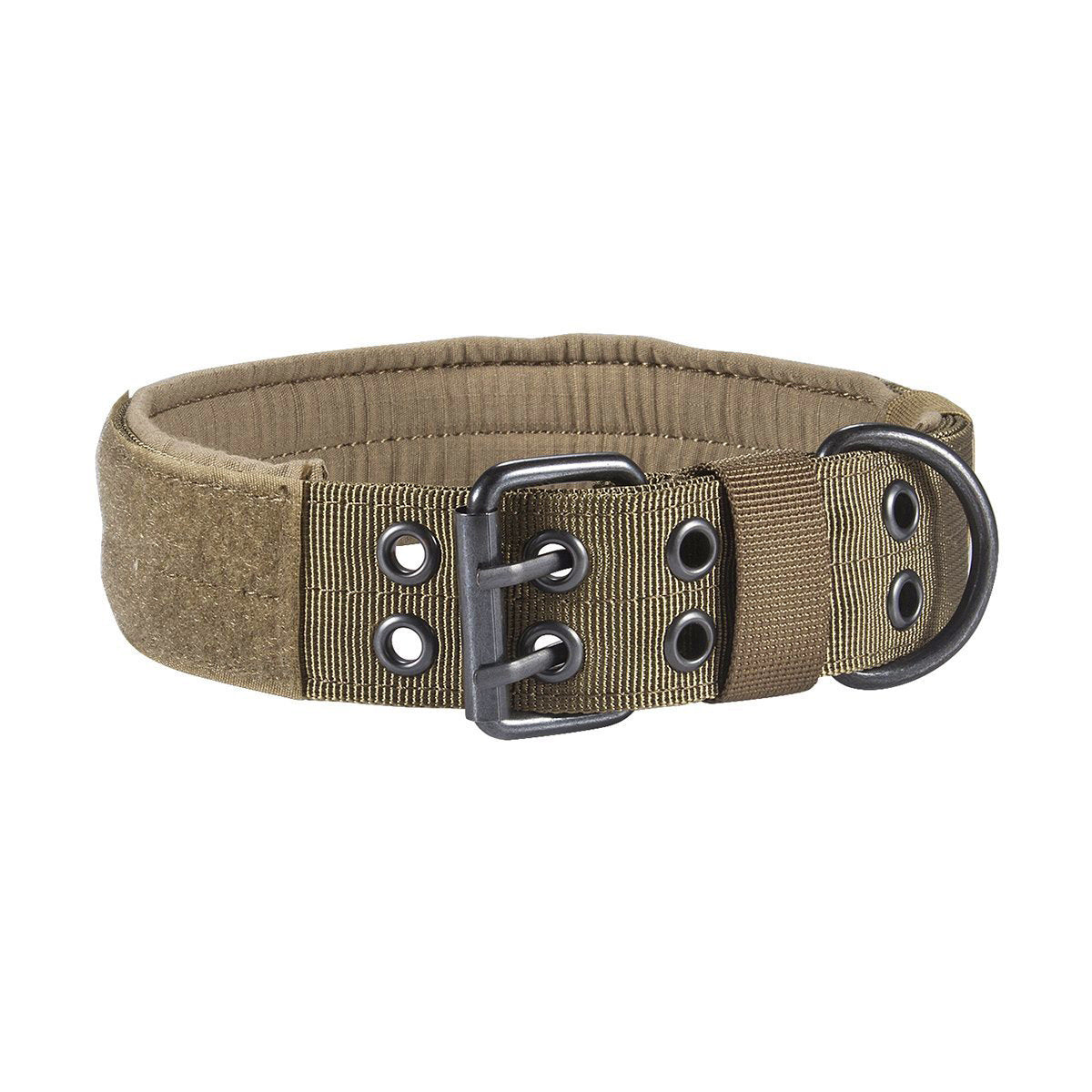 Padded Nylon Dog Collar